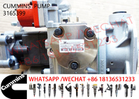 3165399 Cummins NTA855 3165355 3165400 Diesel Engine Fuel Pump