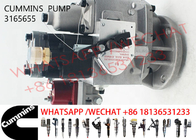 3165655 Diesel Injection Pump 3165401 4060993 3419494 3165437 3165457