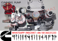 3165797 3165359 3165798 4951476 3419433 Diesel Engine Fuel Pump